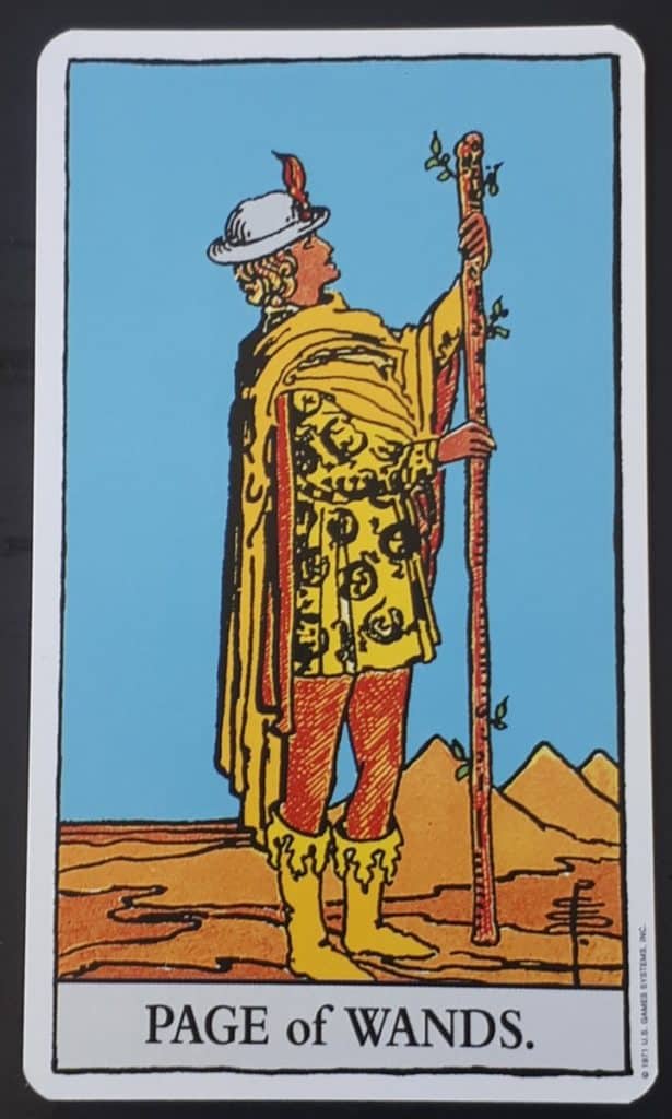 Page of Wands tarot card from the Rider Waite tarot deck
