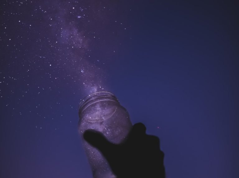 Can You Dream In A Dream?