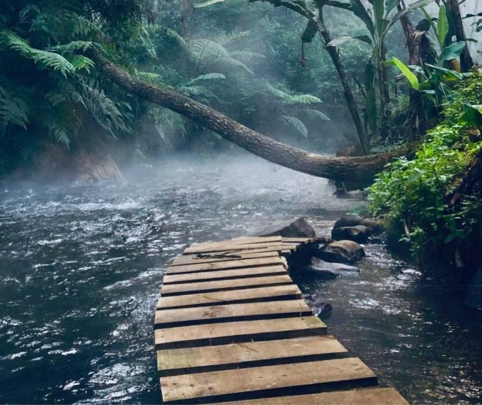 King Of Pentacles And Magician Combination: Upright And Reversed