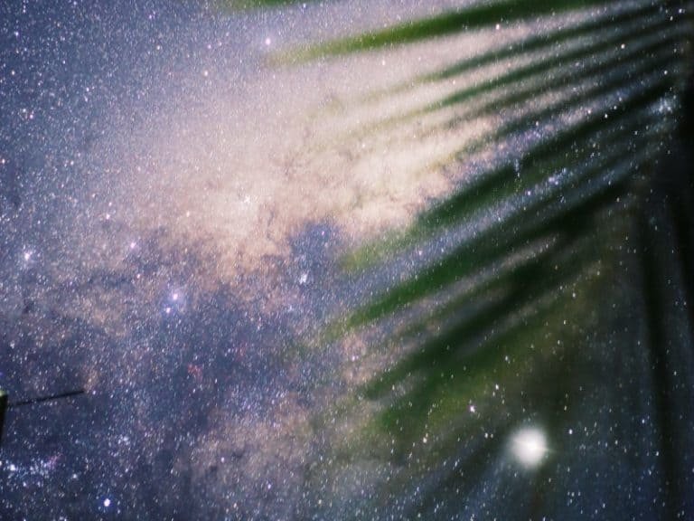 Ace Of Wands And King Of Cups Combination Explained