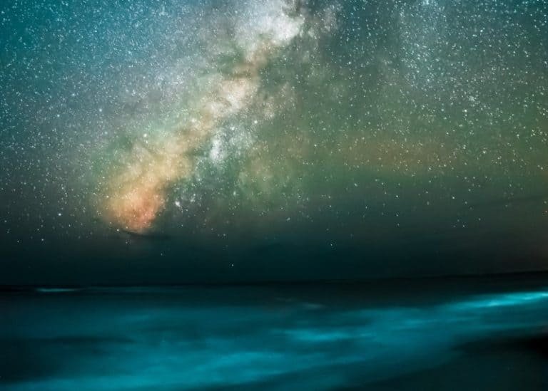 Queen Of Pentacles And Page Of Cups Combination: Upright, Reversed & Feelings