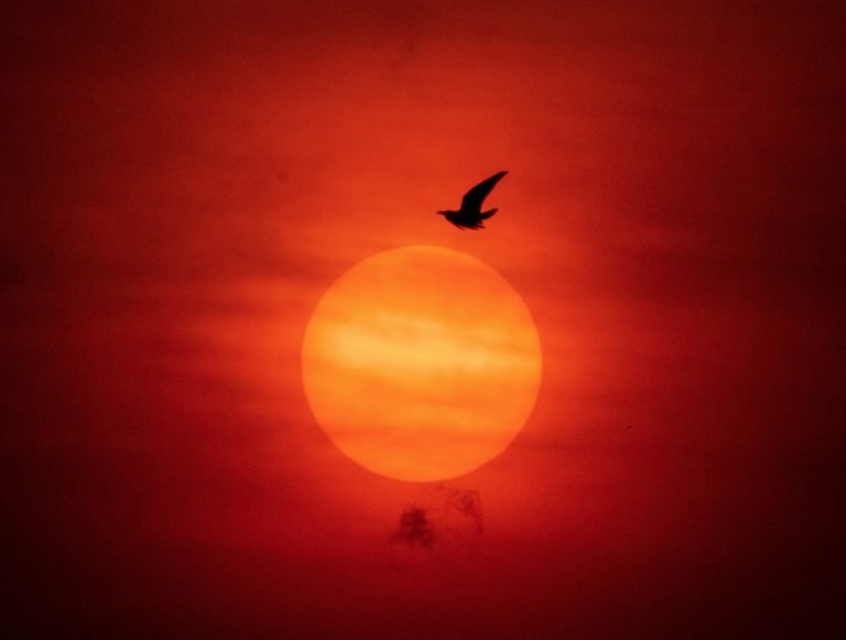 10 Of Swords: Yes Or No? (Upright, Reversed & Love Meaning)