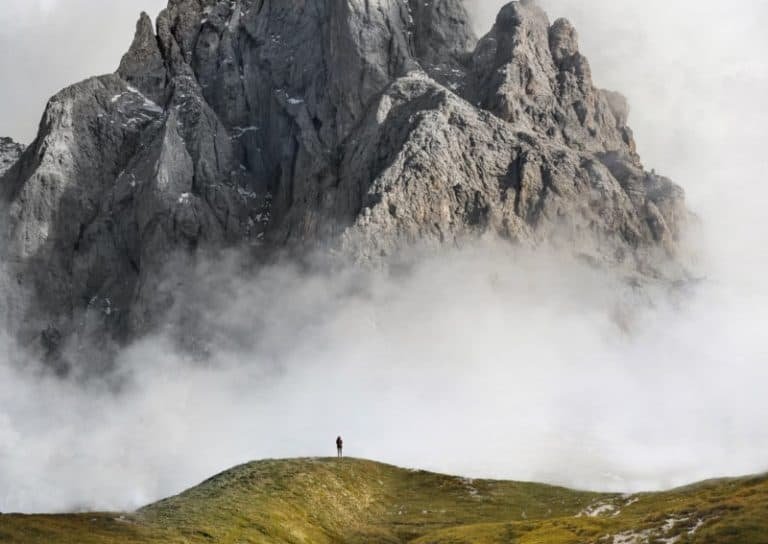 The Chariot: Yes Or No? (Upright, Reversed & Love Meaning)