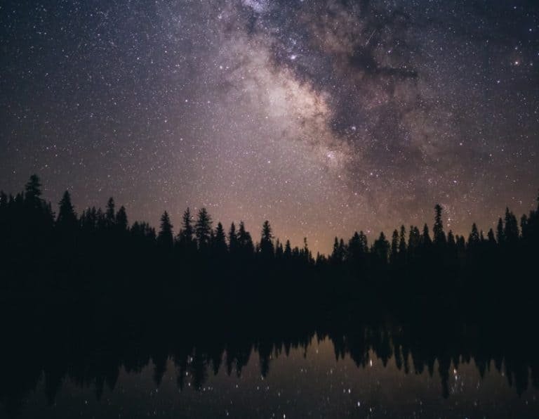 The Emperor: Yes Or No? (Upright, Reversed & Love Meaning)