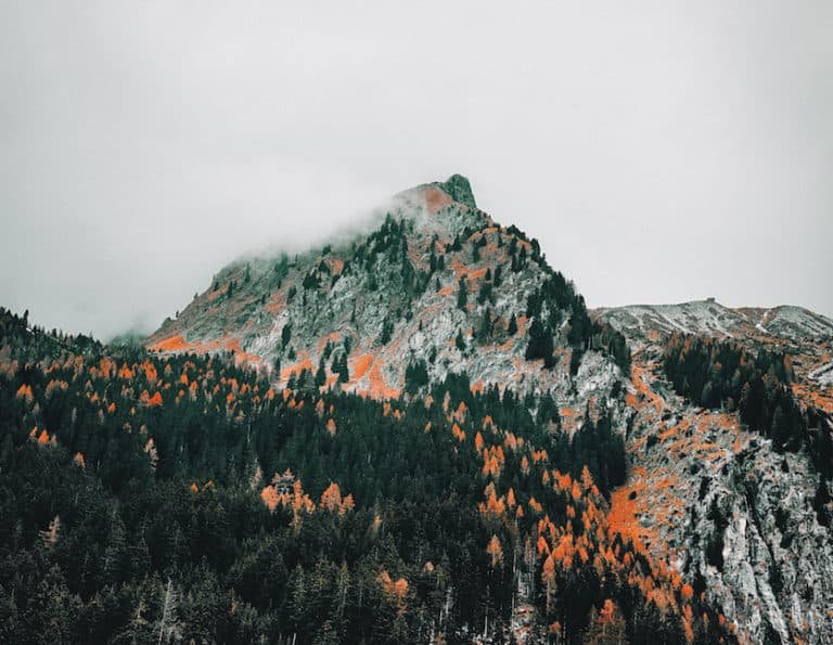 8 Of Cups And 8 Of Wands Combination Meaning