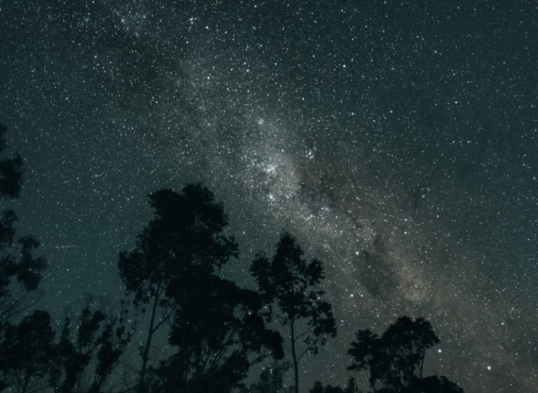 What Zodiac Sign Is The Queen Of Cups?