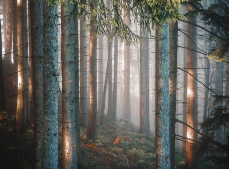 6 Of Swords: Yes Or No? (Upright, Reversed & Love Meaning)