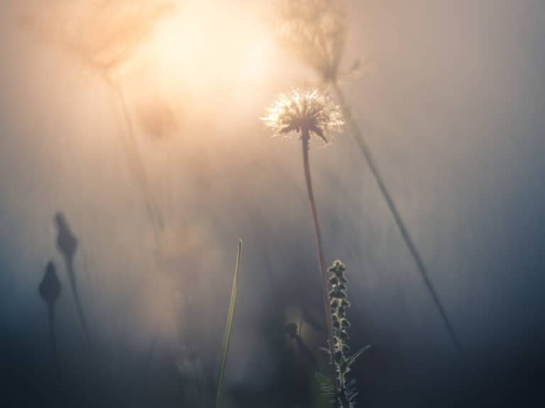 2 of cups and 6 of cups combination meaning