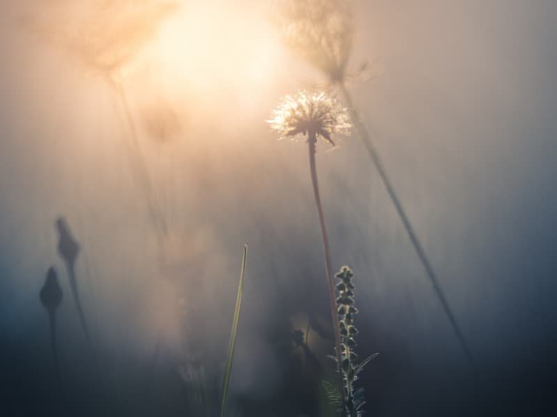 2 of cups and 6 of cups combination meaning