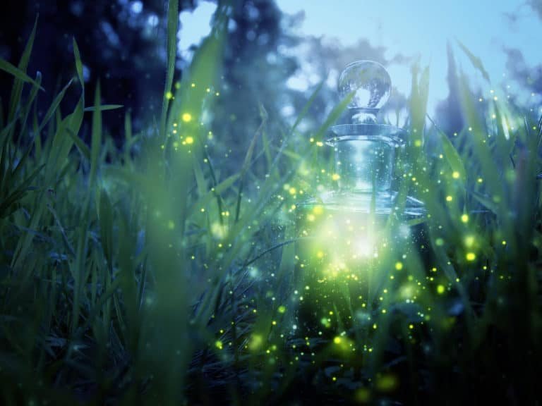 7 of cups as feelings