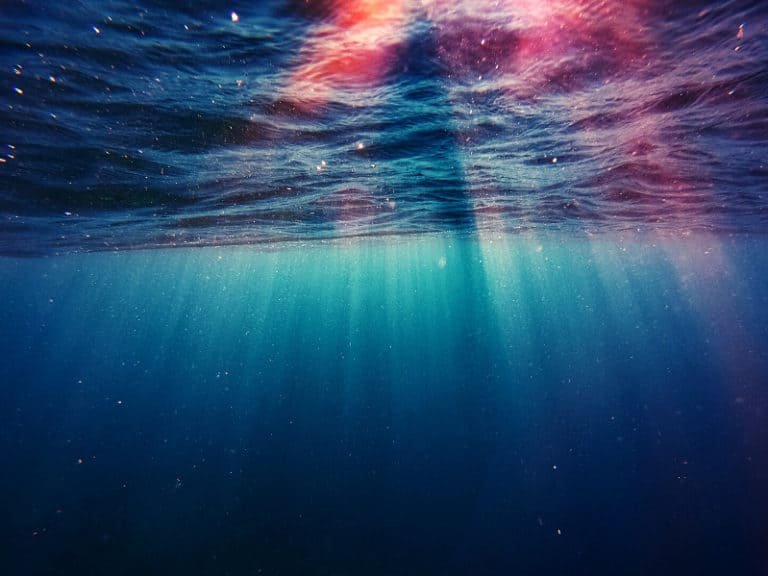 6 of cups reversed meaning