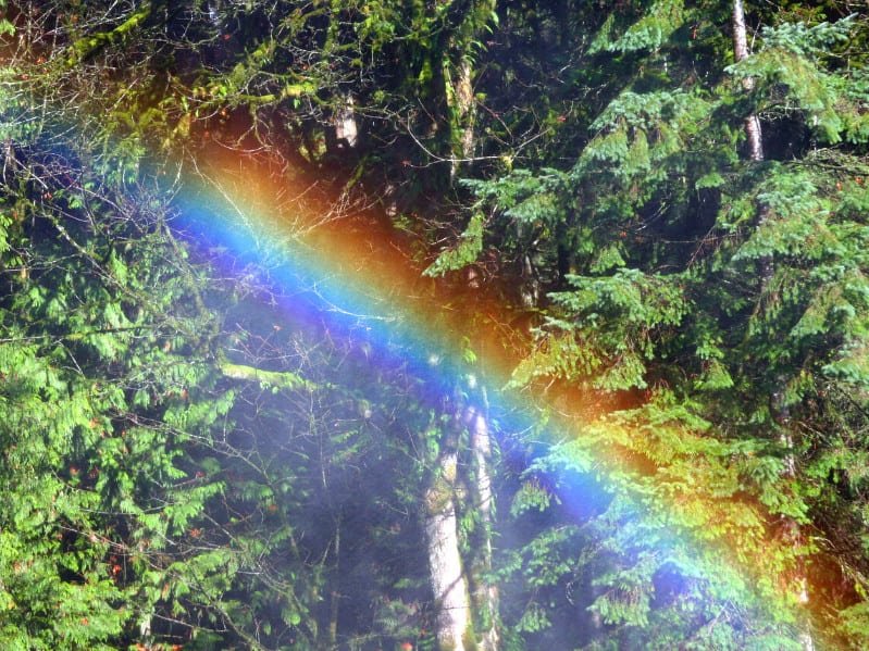 10 Of Cups As Feelings