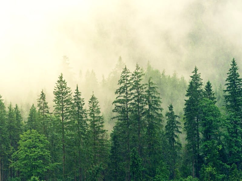 7 of wands as feelings