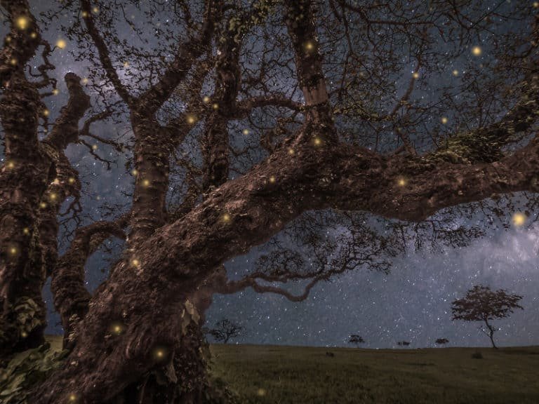 5 of wands as feelings