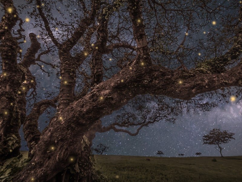 5 of wands as feelings