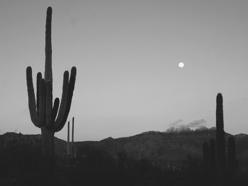 2 of swords as feelings