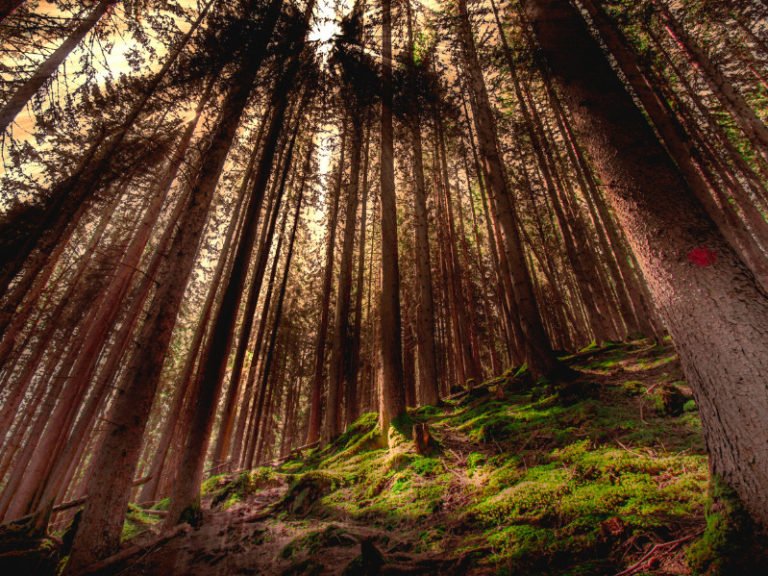 8 of wands as feelings