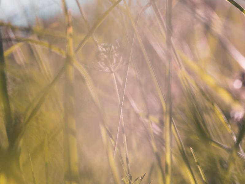 10 of Swords as feelings