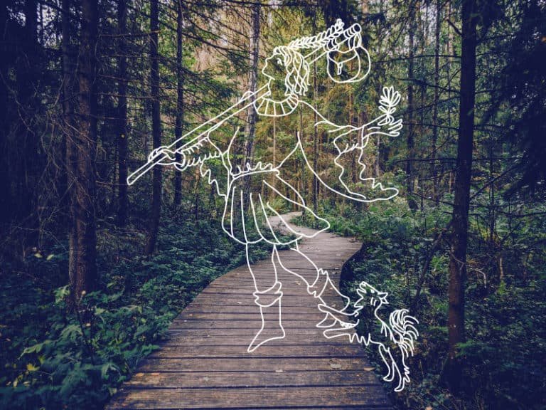 the fool as feelings