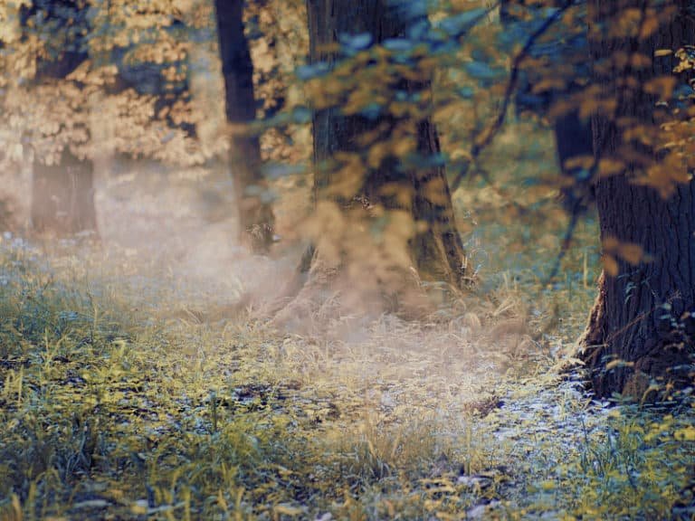 5 of swords as feelings