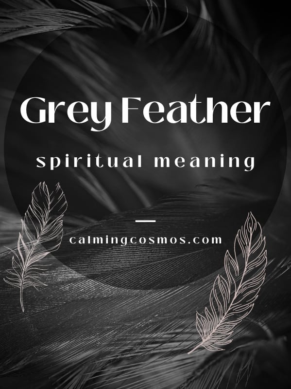 grey feather spiritual meaning