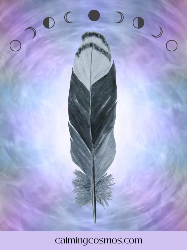 large grey feather meaning