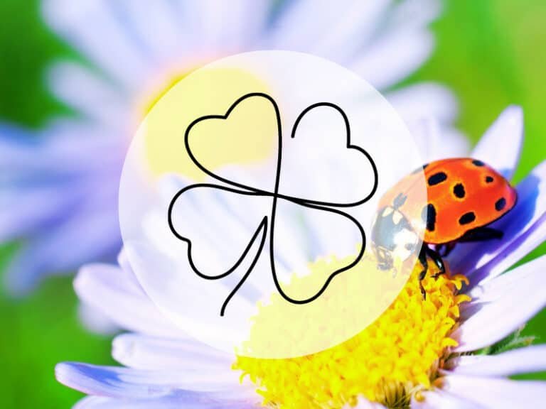 7 reasons why ladybugs are a good omen